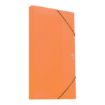 ΝΤΟΣΙΕ ΛΑΣΤΙΧΟ TYPOTRUST 25X35 3cm Πορτοκαλί