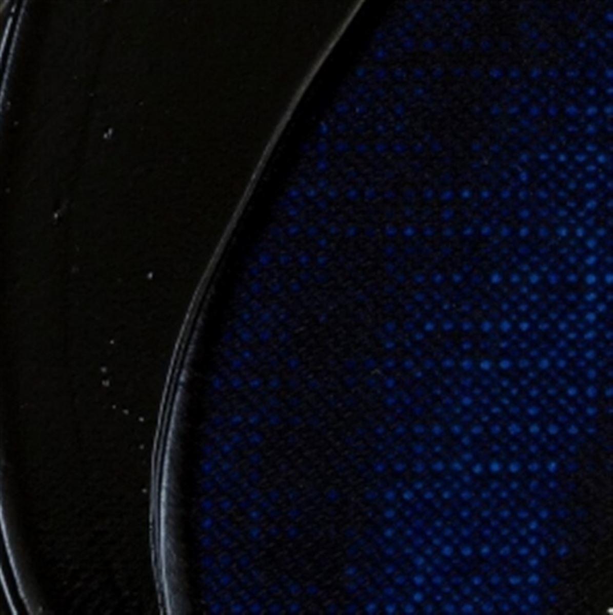 508 - Prussian Blue